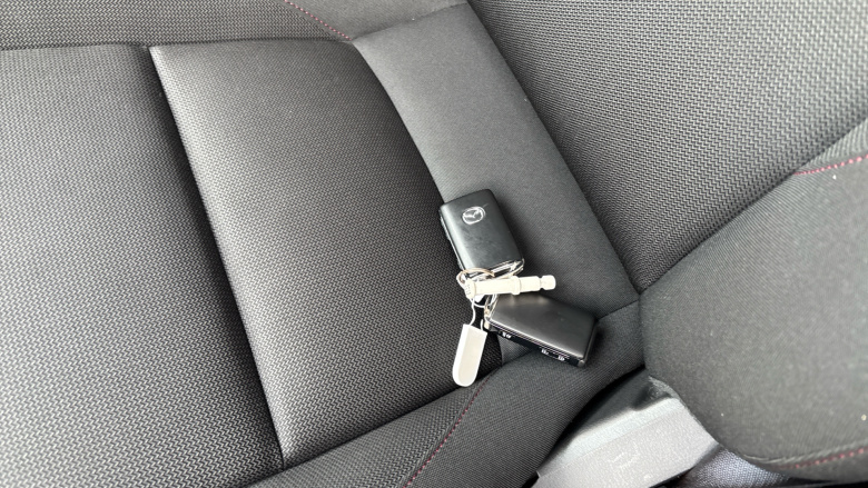 Mazda 3 2.5 e-Skyactiv G MHEV [140] Homura 5dr Petrol Hatchback